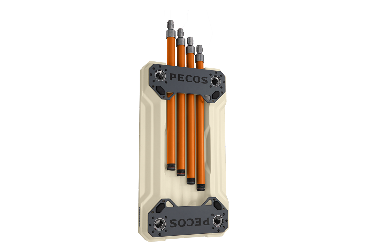 BuckskinAlrightOrange